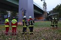 Einsatz BF Hoehenretter Koelner Seilbahn Hoehe Zoobruecke P2196